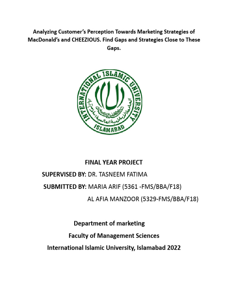 bba-final-year-research-project | PDF | Marketing | Digital Marketing