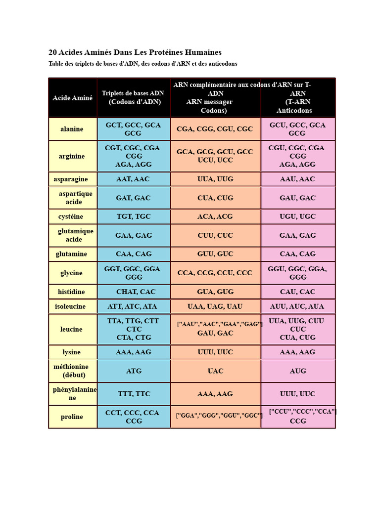 Acides Aminés et Codons dans les Protéines | PDF | Code génétique ...