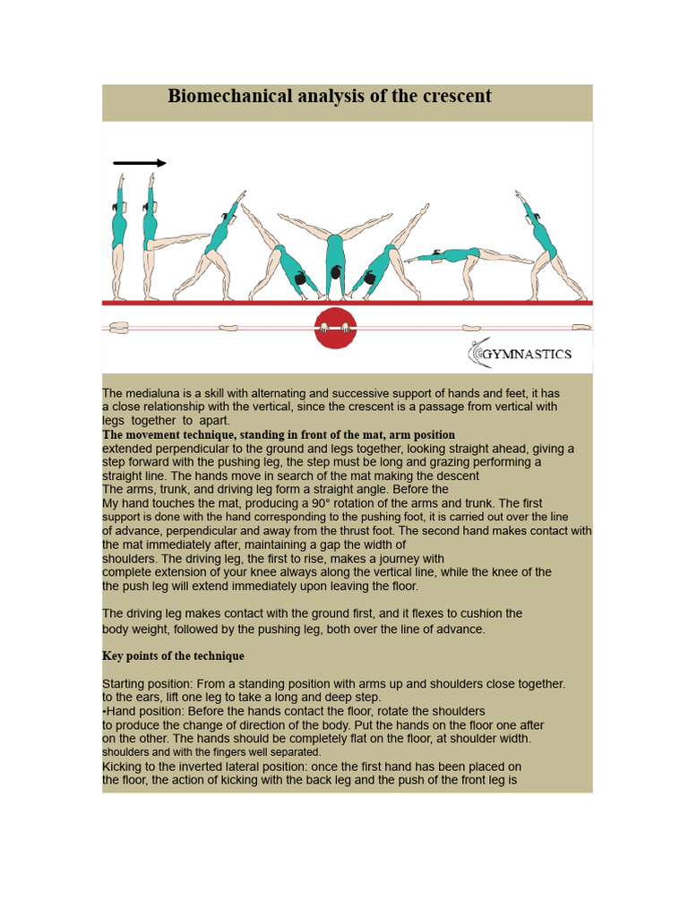 TP Analysis of The Crescent Moon | PDF | Human Leg | Anatomical Terms ...