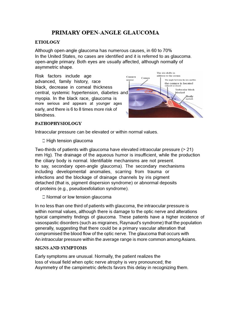 Primary Open-Angle Glaucoma Overview | PDF | Glaucoma | Ophthalmology