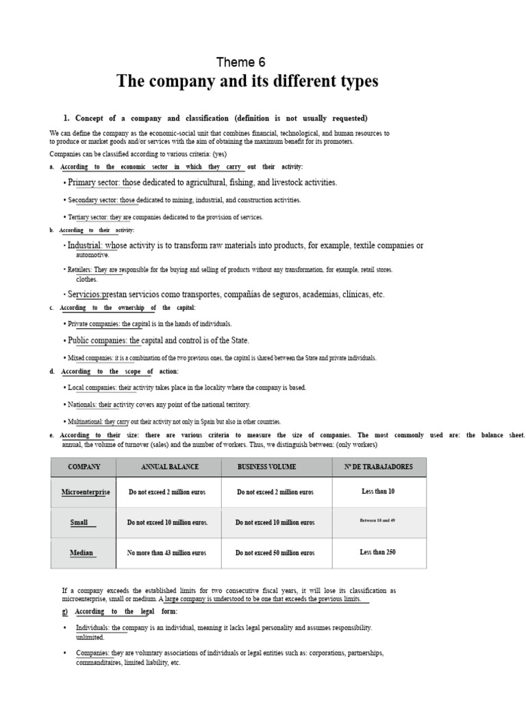 Topic 6 - The Company and Its Different Types | PDF | Limited ...