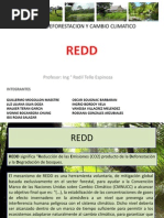 Redd