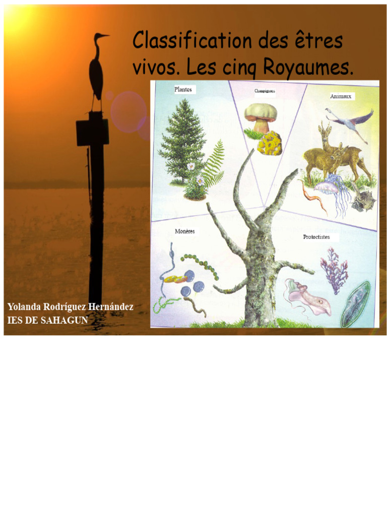 Classification des cinq royaumes vivants | PDF | Plantes | Champignons
