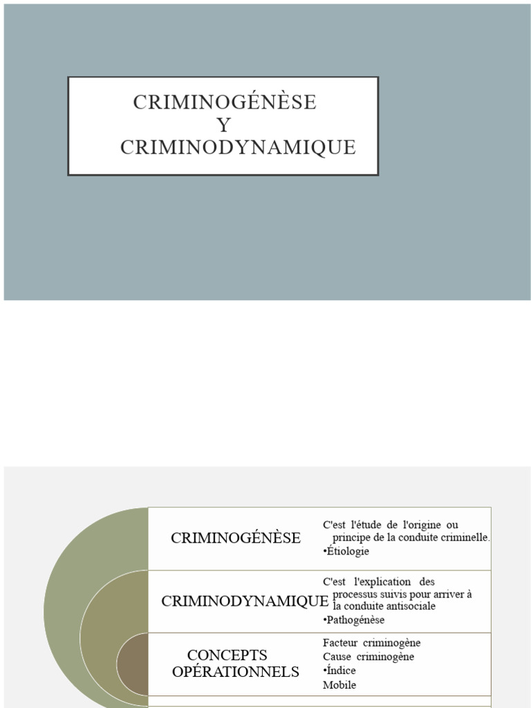 Étude des Facteurs Criminogènes | PDF | Crimes | Crime et violence