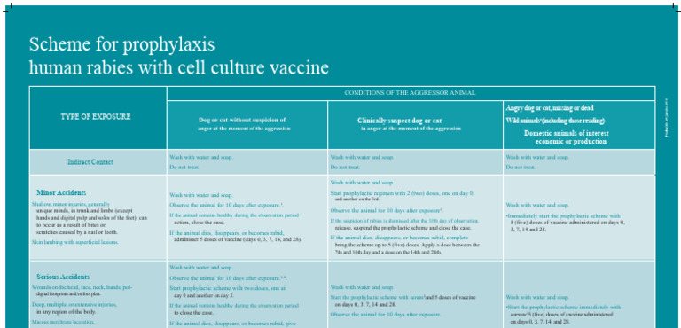 Rabies Prophylaxis Guidelines | PDF | Rabies | Vaccines