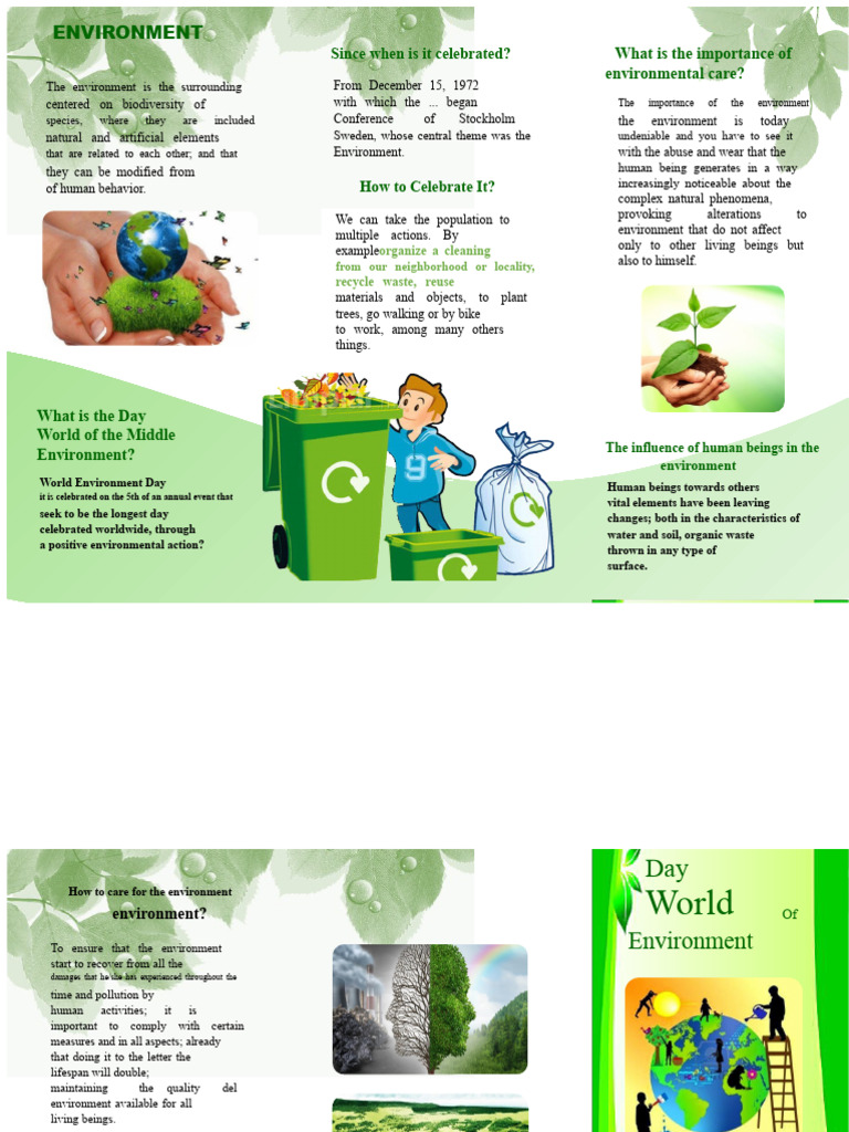 Importance of Environmental Care | PDF | Natural Environment | Waste