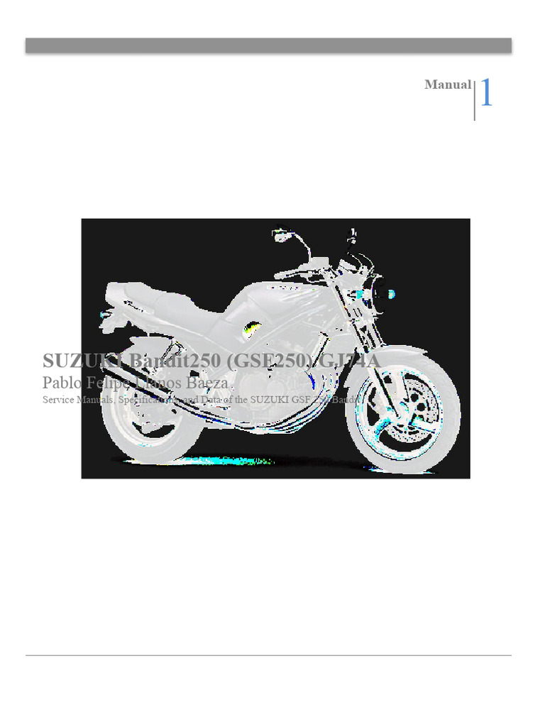 SUZUKI バンディット250 サービスマニュアル スズキ（SUZUKI） サービスマニュアル バンディット250 DVD・書籍