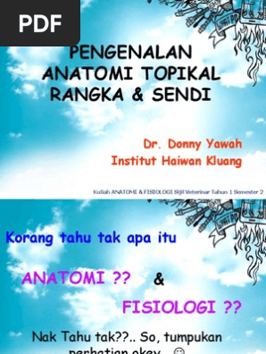 Anatomi Pdf