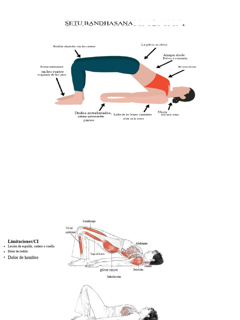 Beneficios de Setu-Bandhasana Soportada | PDF