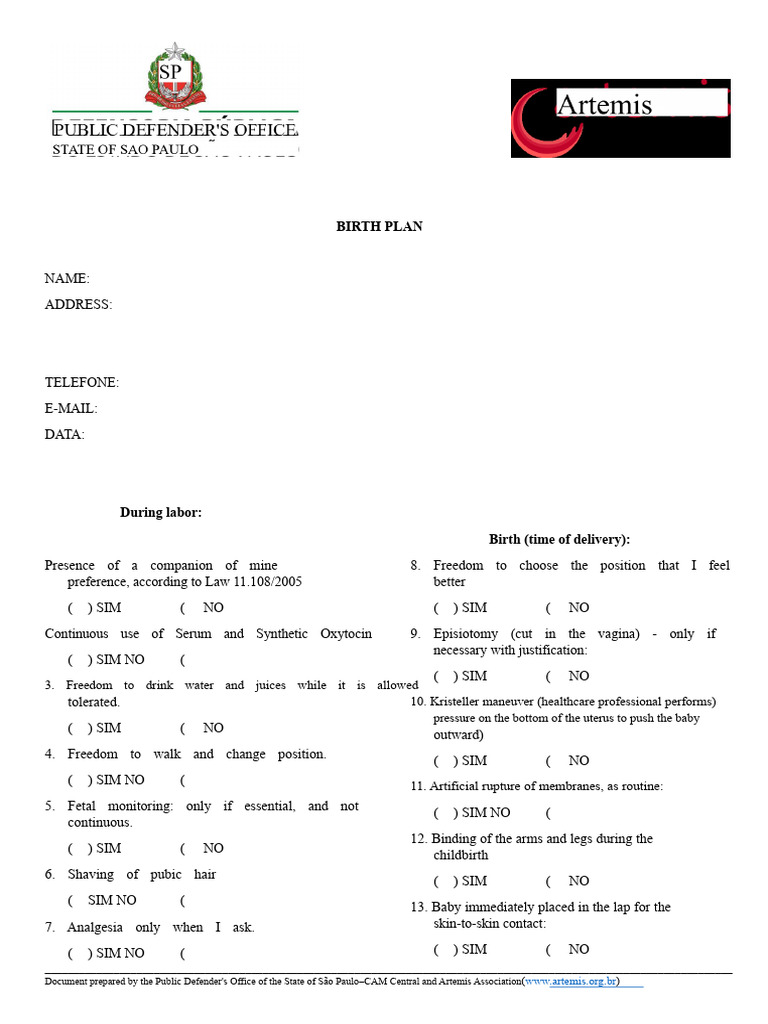 Artemis Birth Plan Template | PDF | Childbirth | Health Care