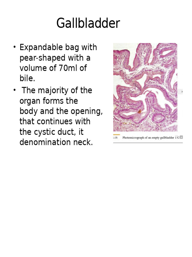 Gallbladder | PDF