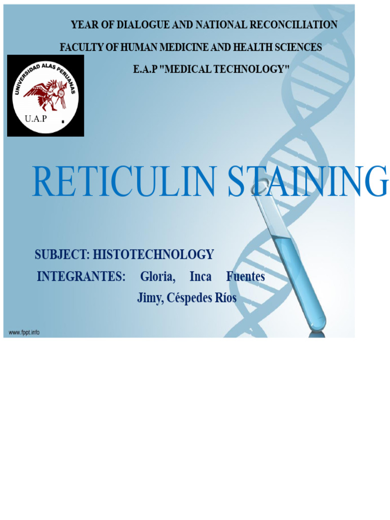 Reticulin Staining | PDF | Staining