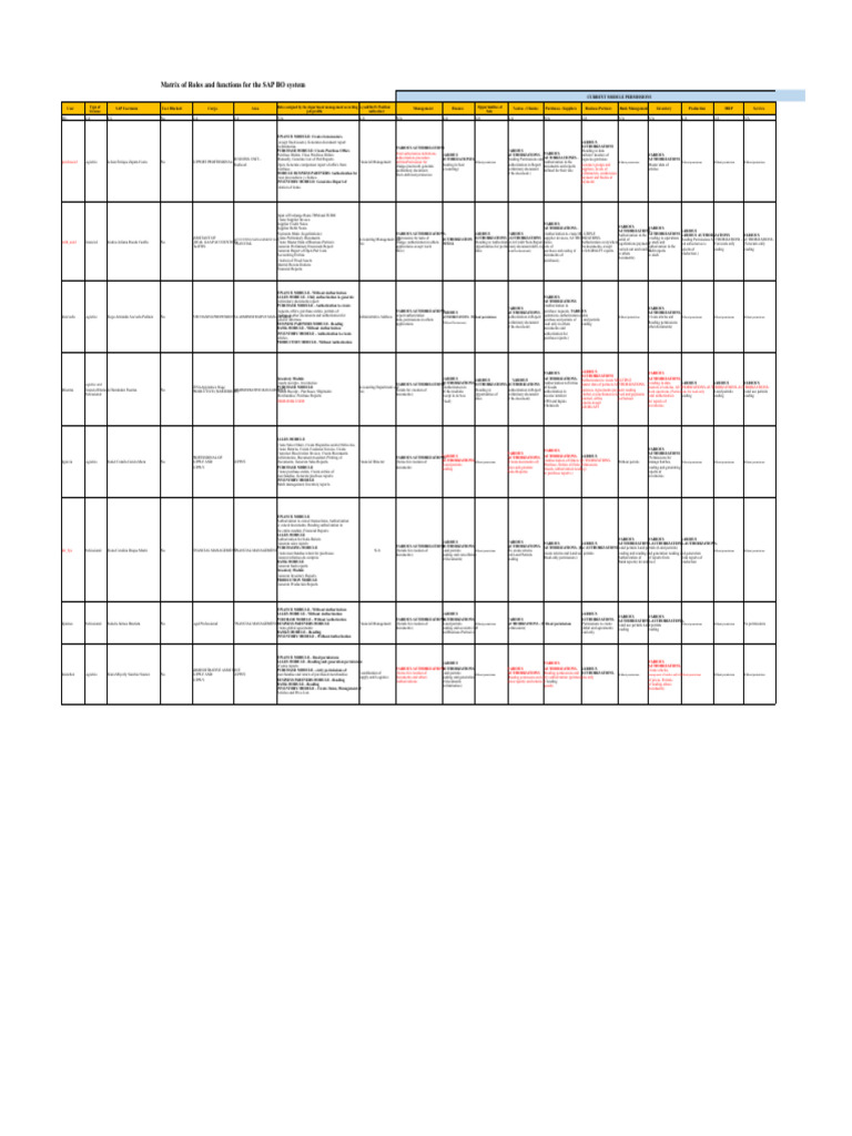 Matrix of Roles, Positions, and Permissions SAP BO | PDF | Invoice ...