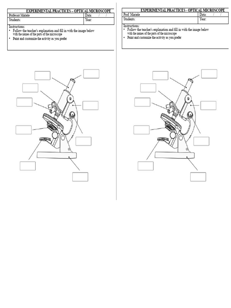 Practice - Getting To Know The Optical Microscope | PDF