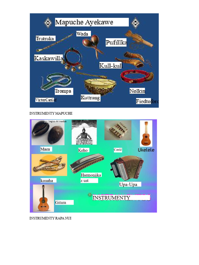 Instrumenty Mapuche | PDF
