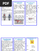 Sea Turtle Circulatory Anatomy Explained | PDF | Neck | Common Carotid ...