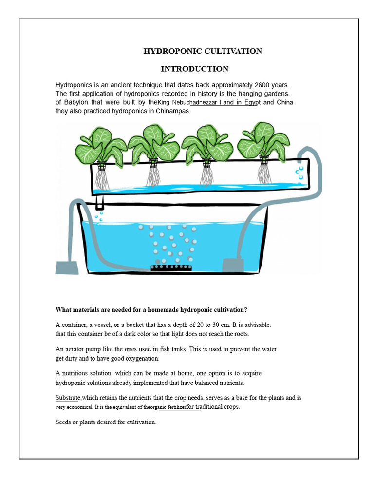 DIY Hydroponic Garden Setup Guide | PDF | Hydroponics | Agriculture