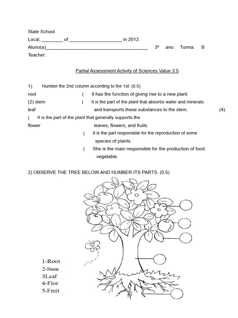 Science Assessment Activity for 3rd Grade | PDF | Plants | Vertebrates