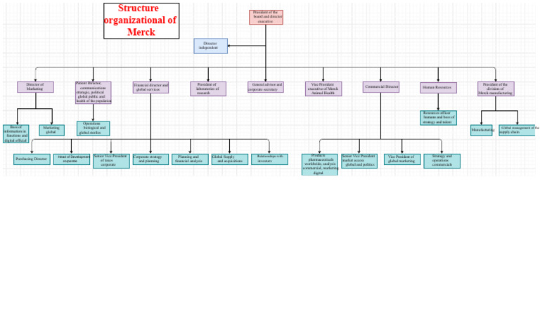 Merck Organizational Structure Overview | PDF | Merck & Co. | Business