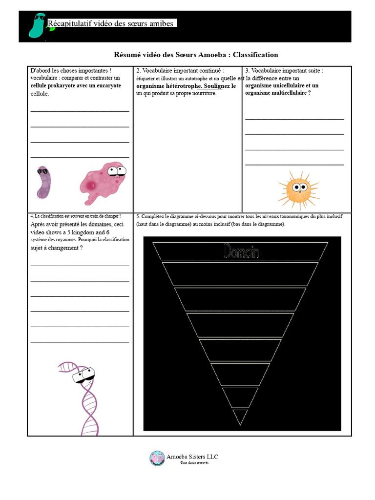 Classification des Sœurs Amoeba et Taxonomie | PDF | Cellule (Biologie ...