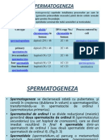 GAMETOGENEZA (spermatogeneza, ovogeneza)