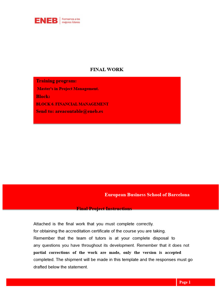 Financial Management Project Guidelines | PDF | Net Present Value | Debt