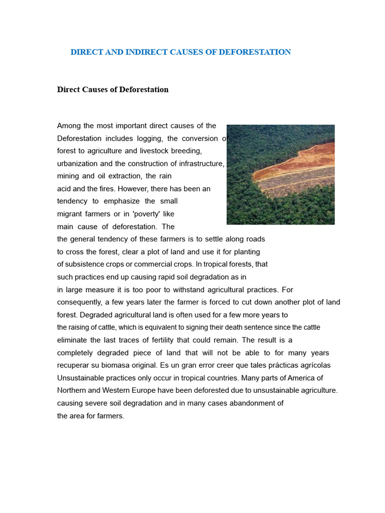 Direct and Indirect Causes of Deforestation | PDF | Deforestation ...