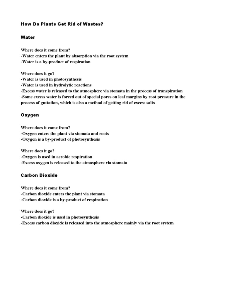 How Do Plants Get Rid of Wastes Stoma Branches Of Botany