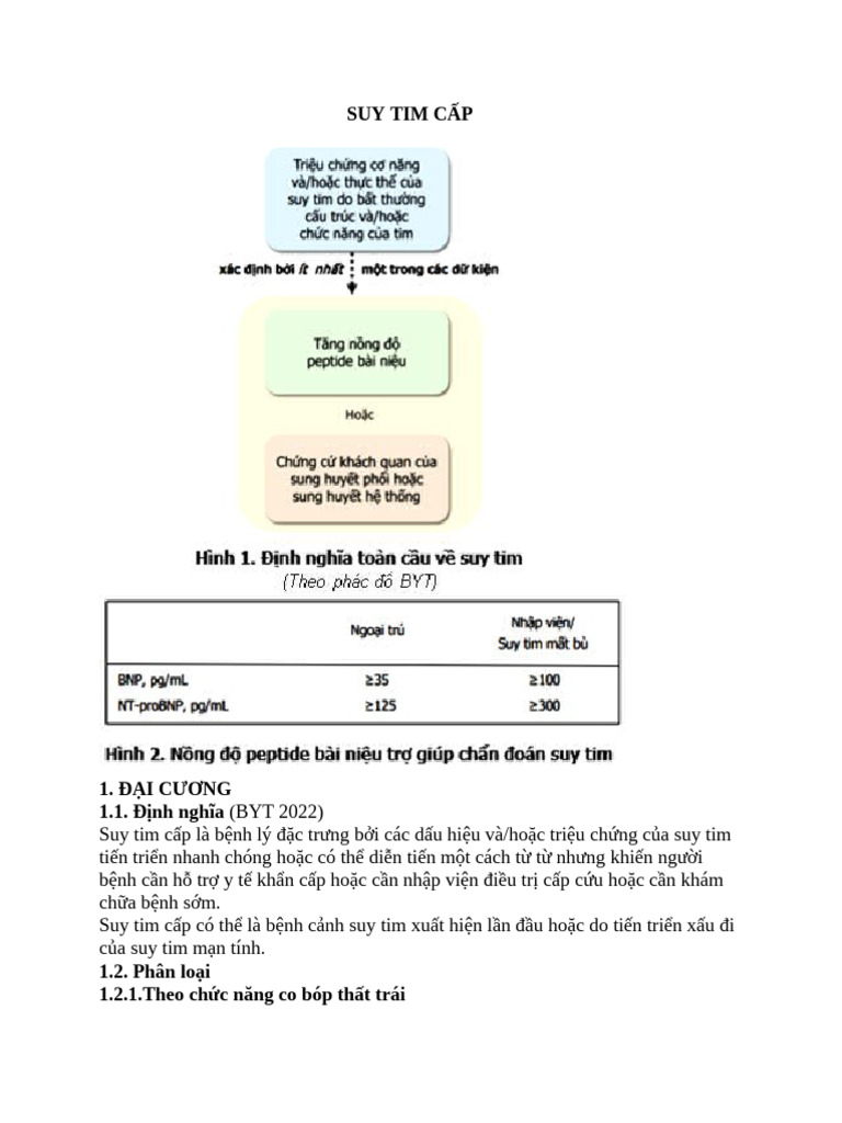 Suy tim cấp | PDF
