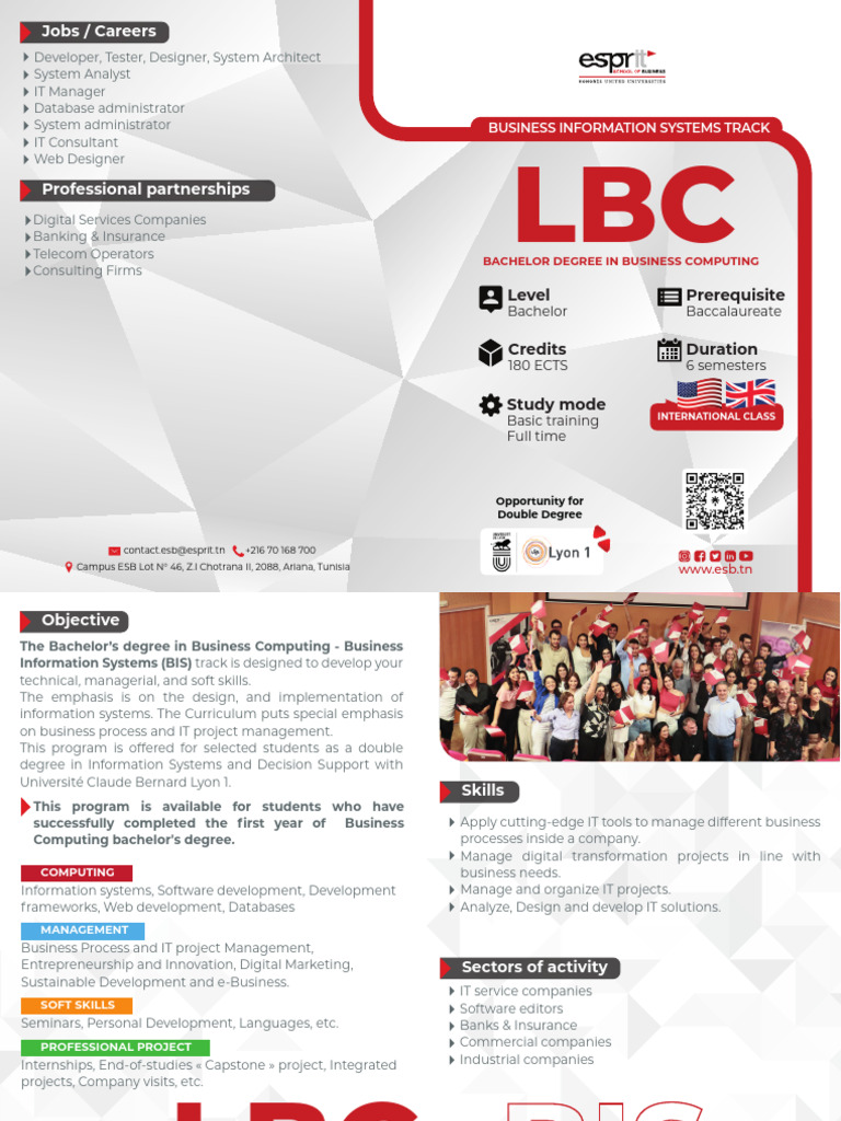 Bachelor in Business Computing Programs | PDF | Business Intelligence ...