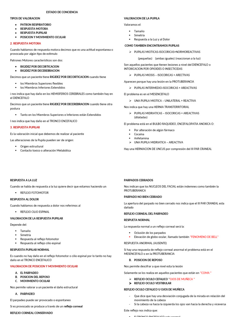 Estado de Conciencia .. | PDF | Cerebro | Coma