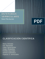 Oxiuros: Ciclo de Vida, Síntomas e Infección por Enterobius vermicularis