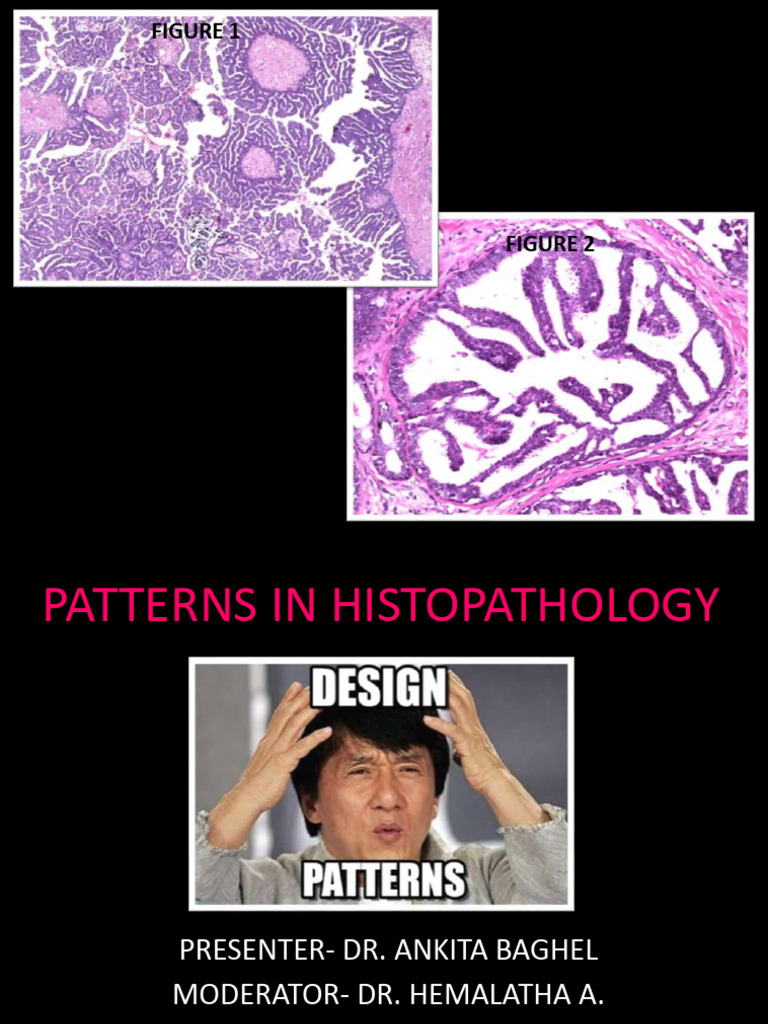 Histopathology Pattern Recognition Guide | PDF | Lung | Anatomy