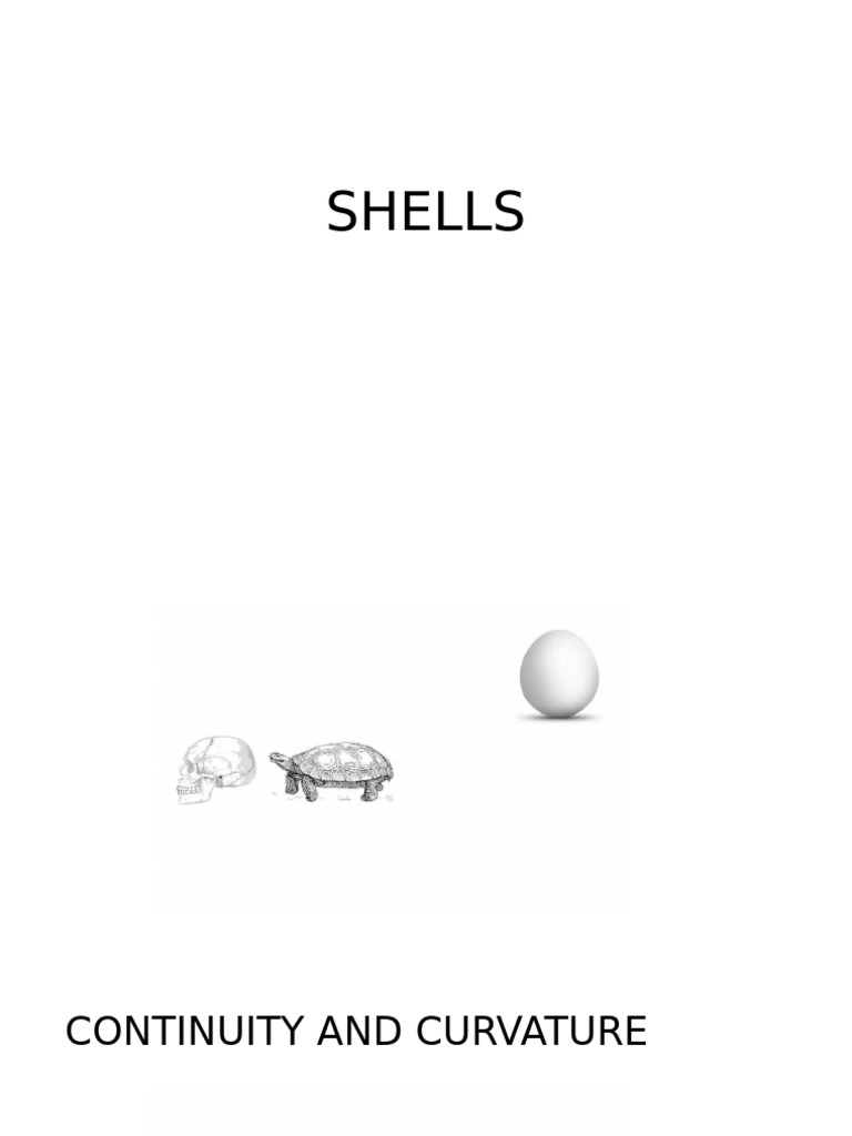 SHELLS | PDF