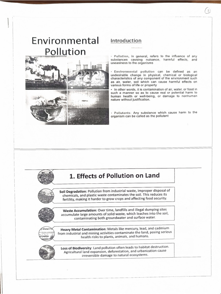 Environmental Pollution | PDF
