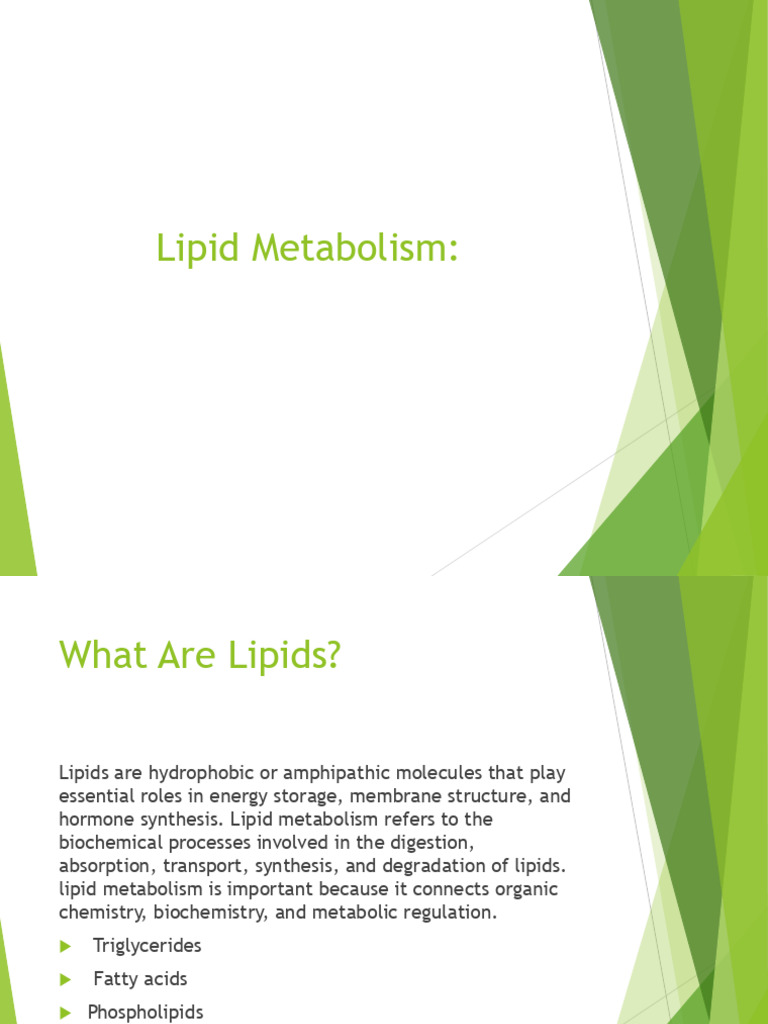 Understanding Lipid Metabolism Basics | PDF | Lipid | Lipoprotein
