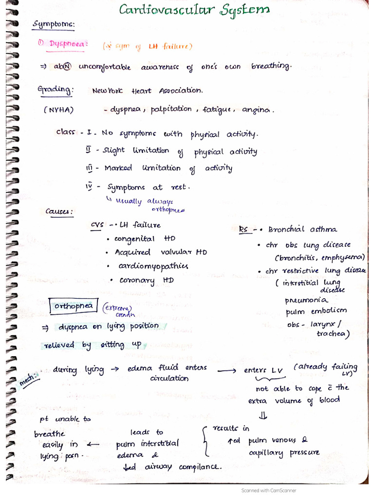 Cvs | PDF
