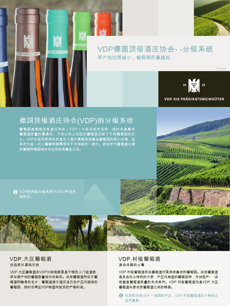 Flyer VDP Classification Chinese Online | PDF