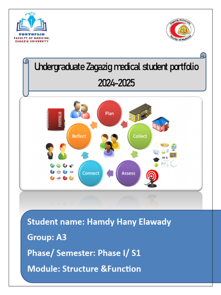 Medical Student Portfolio 2024-2025 | PDF | Medical School | Learning