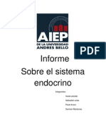 Informe