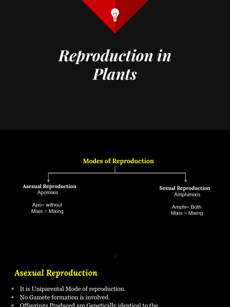 Plant Reproduction: Asexual & Sexual Methods | PDF | Flowers | Sexual ...