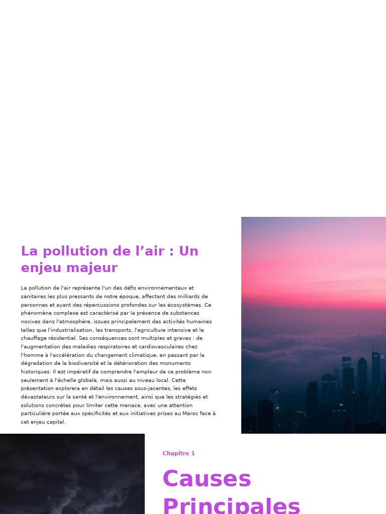 Pollution de l'air : enjeux et solutions | PDF | Pollution de l'air ...