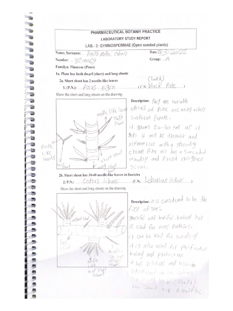 Laboratory Study Report 2 | PDF