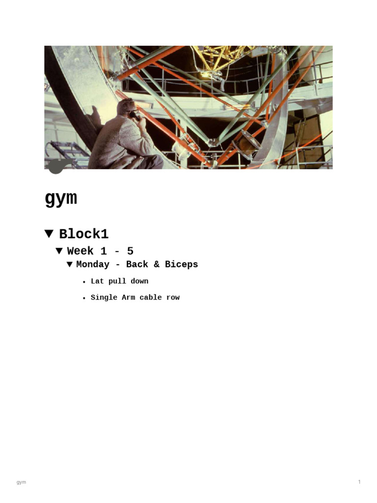 Gym 1 | PDF | Weight Training