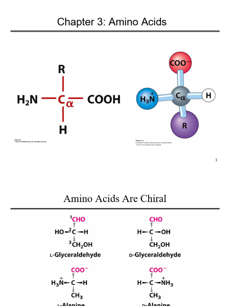 Understanding Amino Acids and Their Properties | PDF | Amino Acid | Acid