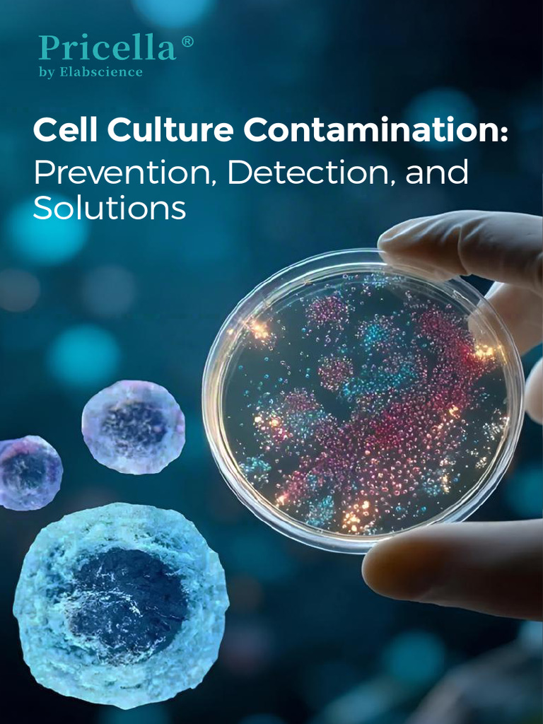 Cell Culture Contamination Guide | PDF | Bacteria | Lipopolysaccharide