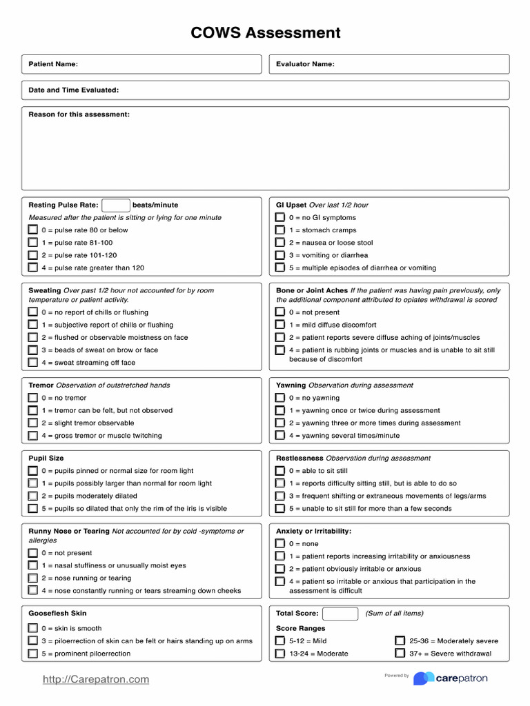 Cows Assessment | PDF