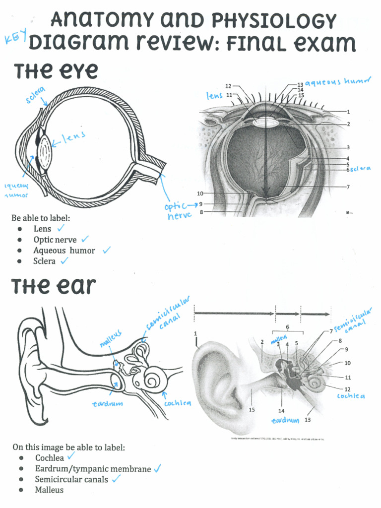 KEY Labeling Structures | PDF