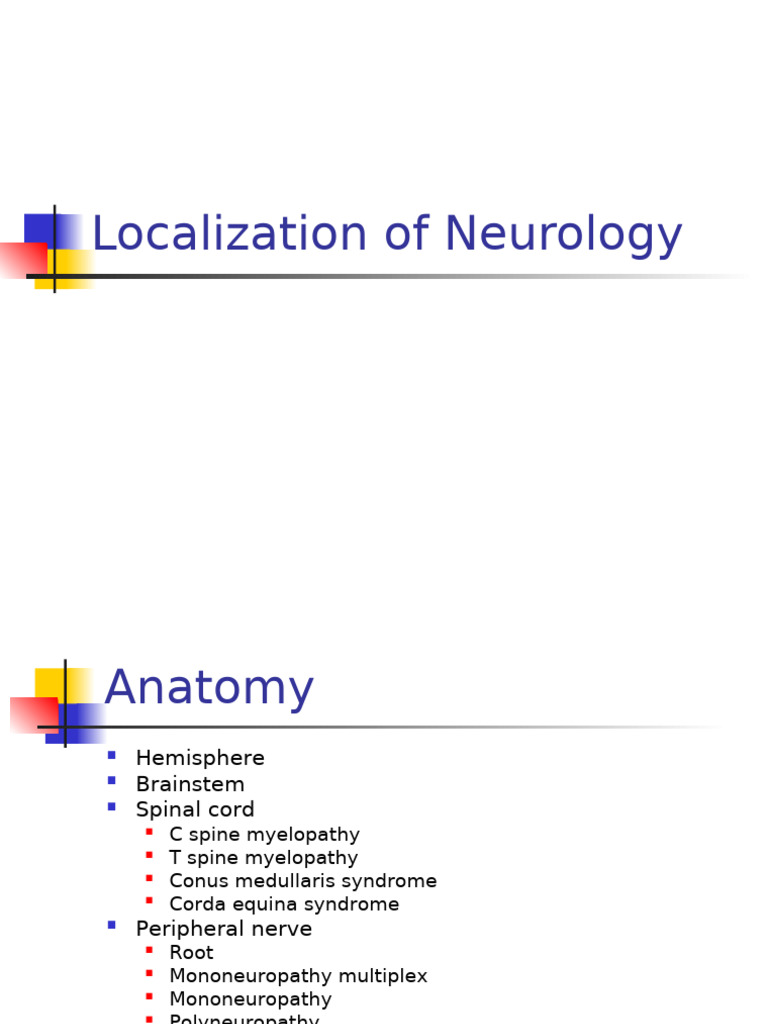Neurology Localization Guide | PDF | Brainstem | Spinal Cord
