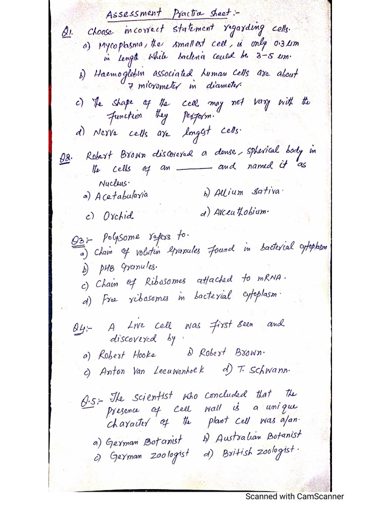Cell Assignment | PDF